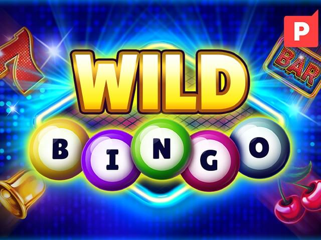 6555bet Bingo Selvagem